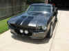Eleanor_Painted08.jpg (67291 bytes)